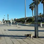 Rosa's With Terrace קליארי